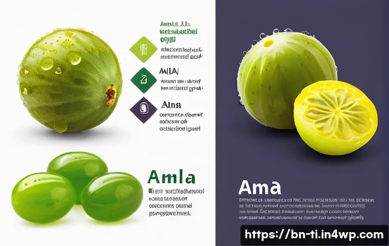 শুকনো খাবারের পুষ্টিগুণ রক্ষা করার ৭টি সহজ উপায় 4 건조 식품의 영양성분 변화 이해하기 관련 이미지 2