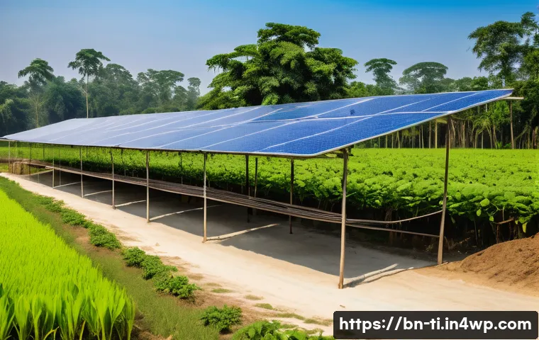 건조 식품 제조의 지속 가능성 논의 - A modern eco-friendly food drying facility in rural Bangladesh, showcasing solar-powered dryers and ...